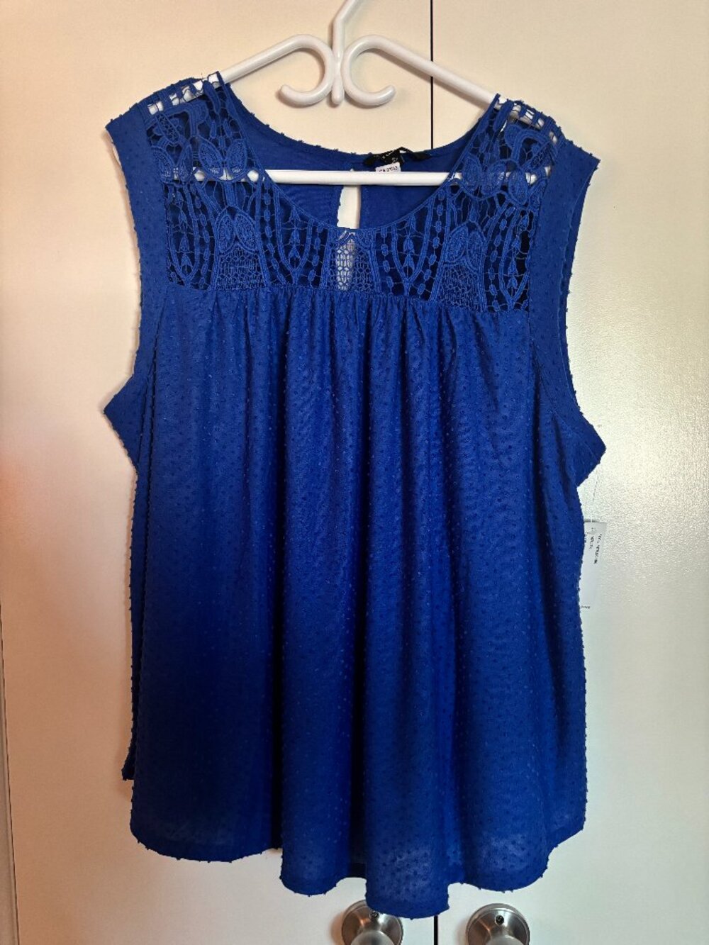 NWT Zac & Rachel Woman Blue Lace Yoke Swiss Dot Top 3X